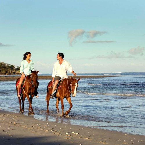 Bali Horse Riding Professional Private Bali Driver Tour Guide Car Rental