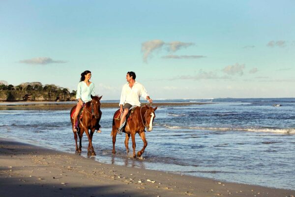 Bali Horse Riding Professional Private Bali Driver Tour Guide Car Rental
