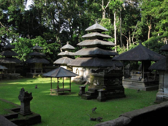 Bali Tour Ubud Monkey Forest
