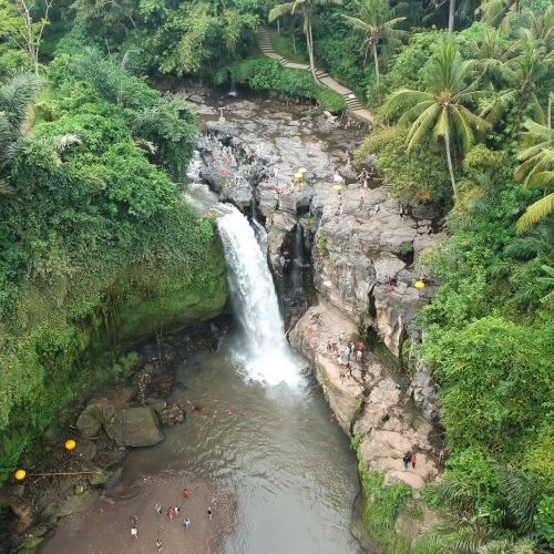 Ubud Waterfall and Art Village Tour