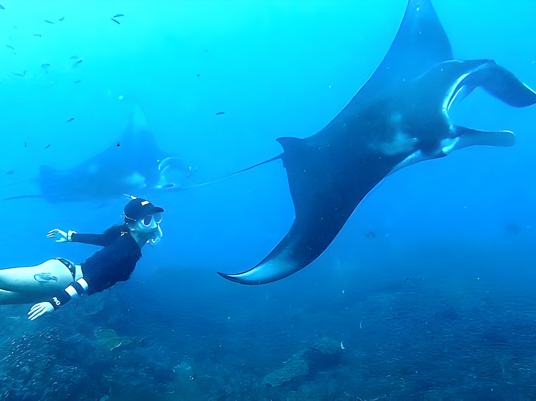 Capturing Iconic Moments with a Bali Tour Swing