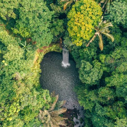 The Gate of Heaven and Waterfall Tour Professional Private Bali Driver Tour Guide Car Rental