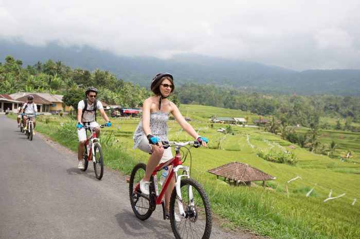 Bali Cycling and Ubud Centre Tour