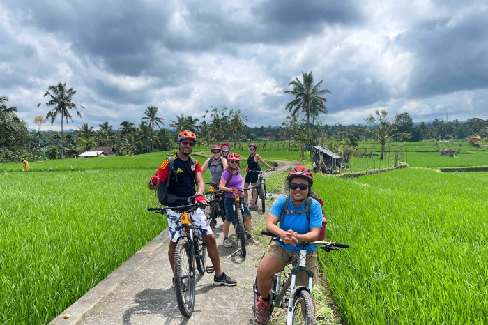 Bali Cycling and Waterfall Tour