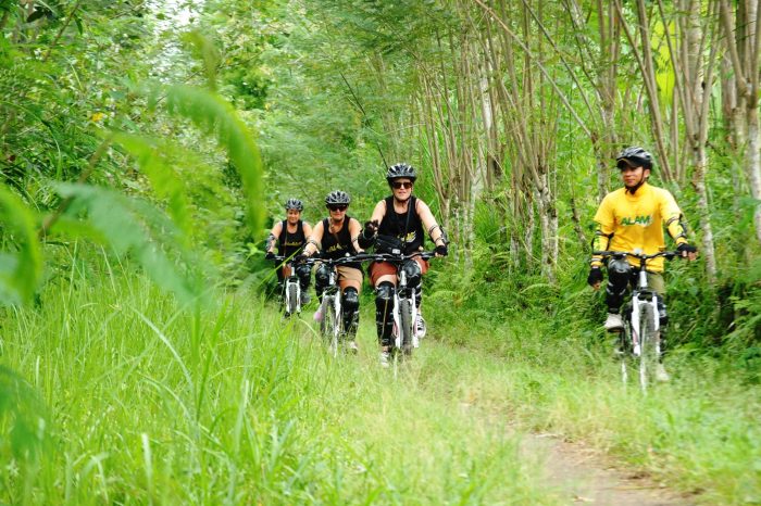 Bali Cycling and Rice Terrace Swing Tour