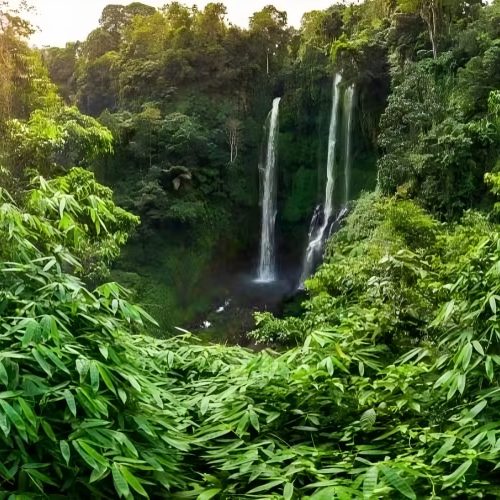 Majestic Sekumpul Waterfalls and Wanagiri Hills Tour