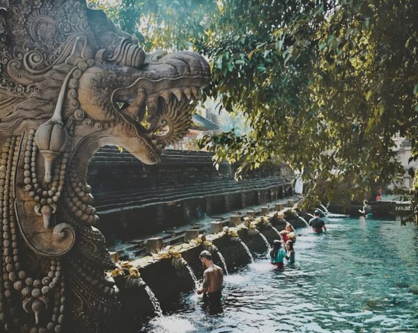 Tubing & Cultural Bali Experience