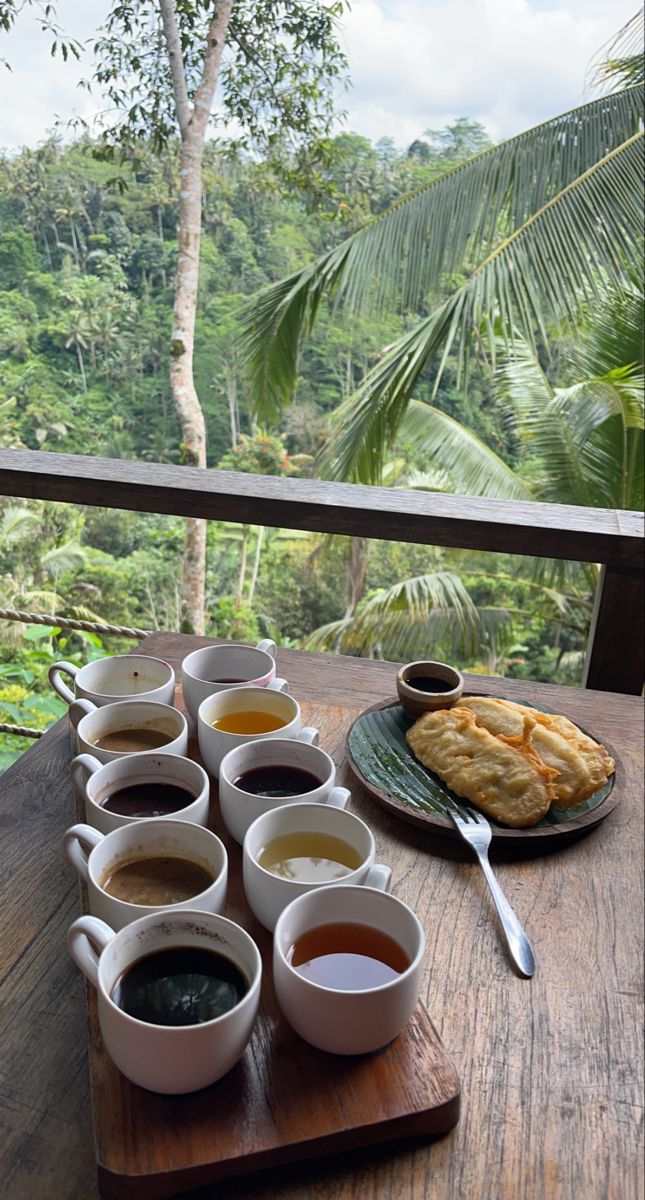 Bali Tour Coffee Plantation