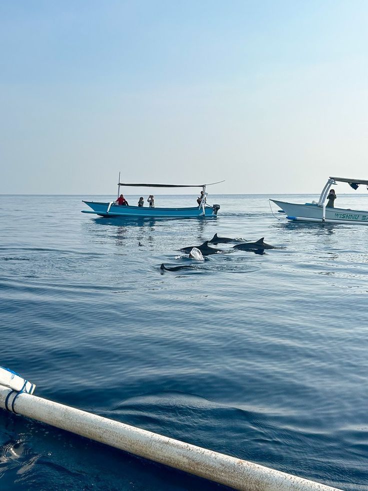 Bali Tour Vehicle Rental for Easy and Comfortable