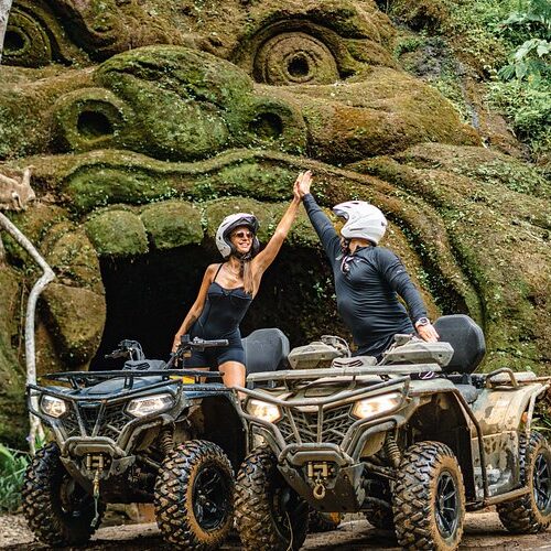 ATV Gorilla Face & Jungle Infinity Pool