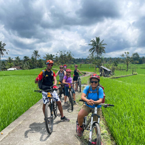 Bali Cycling Adventure & Monkey Forest Sanctuary