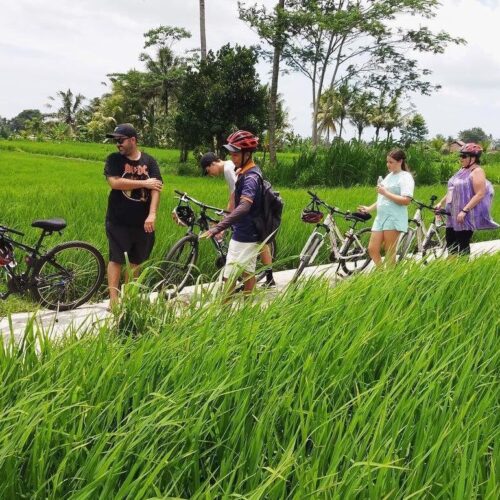 Bali Cycling & Tegenungan Waterfall Tour