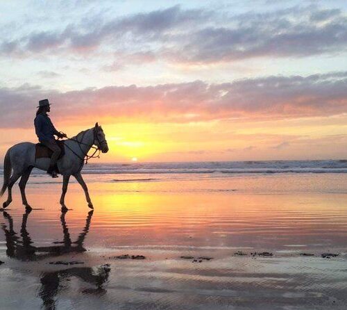 Beach Horse Riding Sunset Dinner