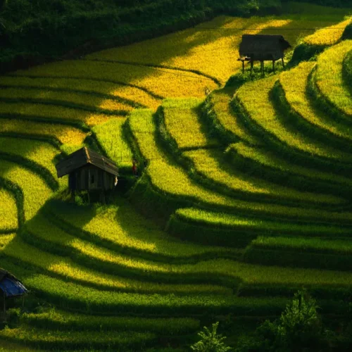 Mr Bali Tour Special Packages, 10 Days 9 Nights