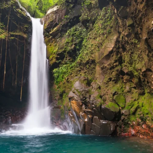 Mr Bali Tour Special Packages 8 Days 7 Nights