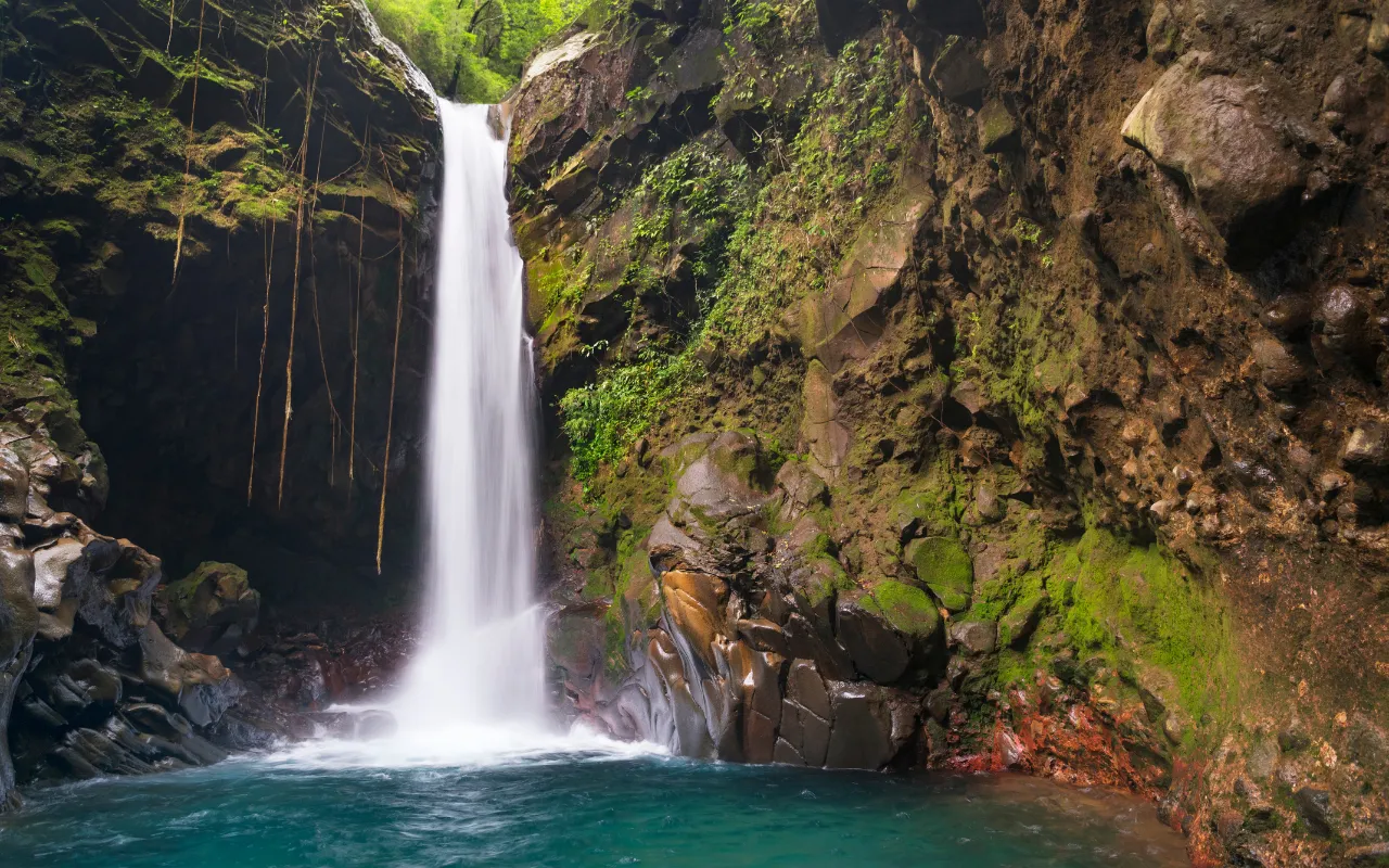 Mr Bali Tour Special Packages 8 Days 7 Nights