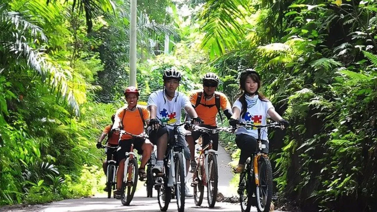 Ultimate Guide to the Best Bali Tour Cycling Experience