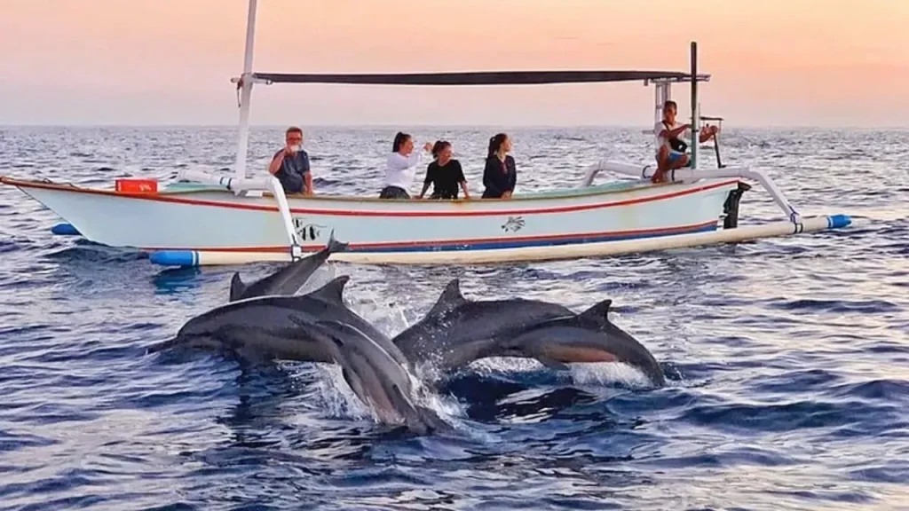 Dolphin Watching Sunrise Experience in Bali with Mr Bali Tour