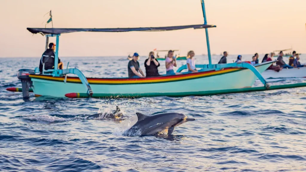 Lovina Sunrise Dolphin Experience with Mr Bali lovina sunset dolphin tour sunset dolphin lovina bali lovina beach dolphin tour