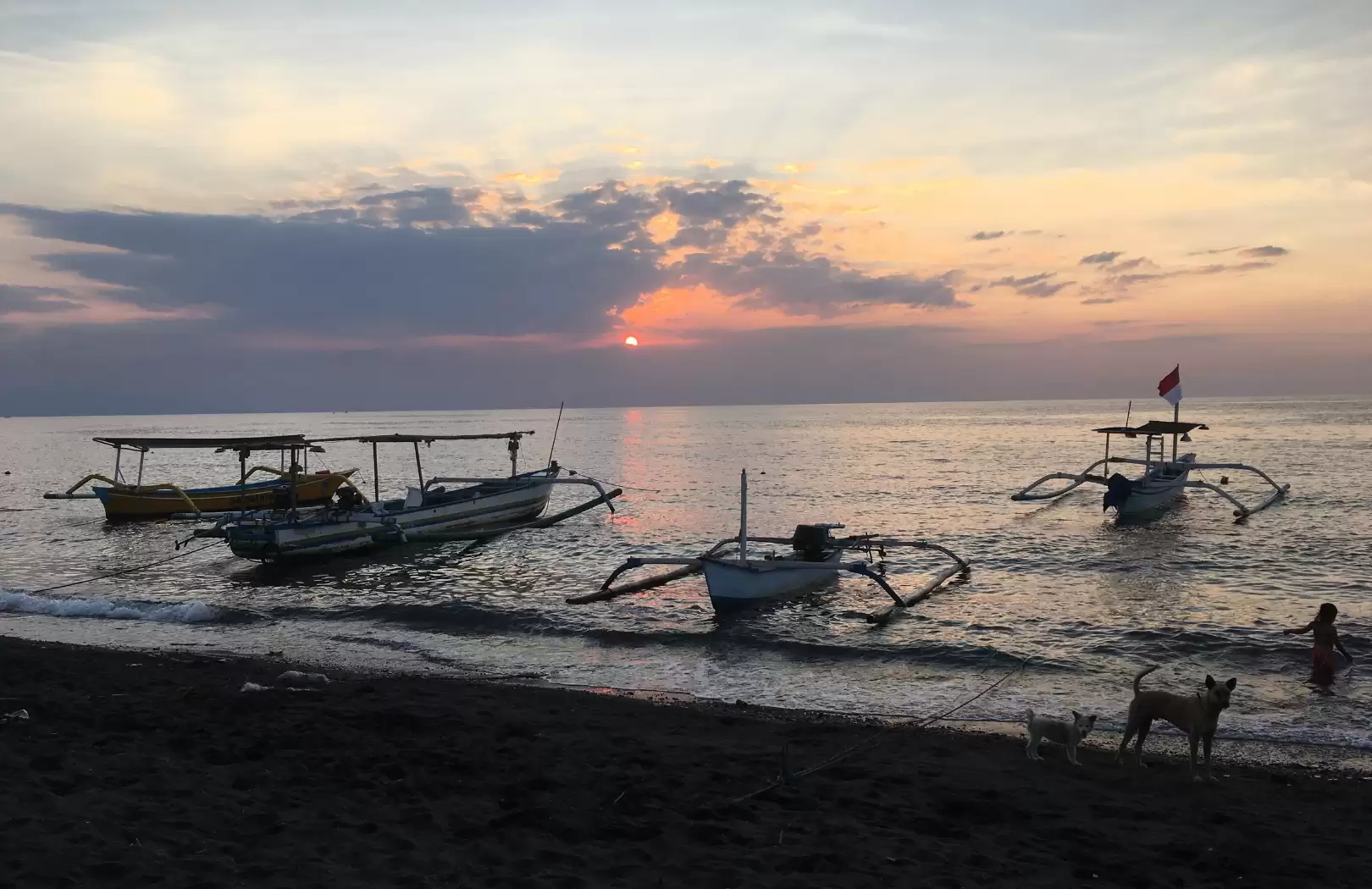 Bali Tour Lovina Morning Tour