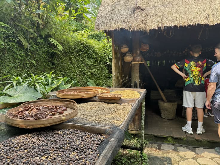 bali tour coffee plantation