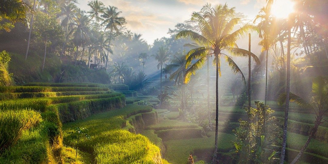 Private Bali Tour Charter