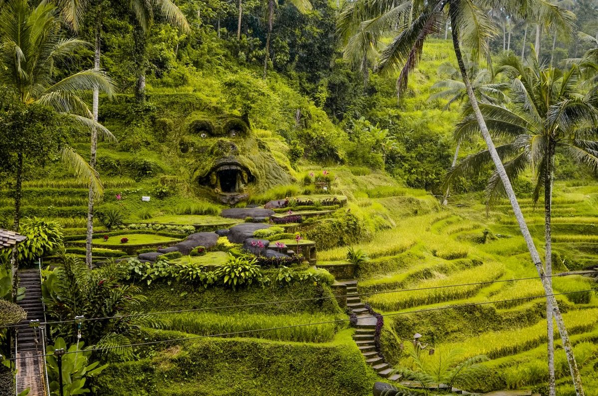 Premium Bali Tour Package