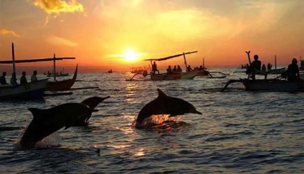 Bali tour Lovina Dolphin Tour
