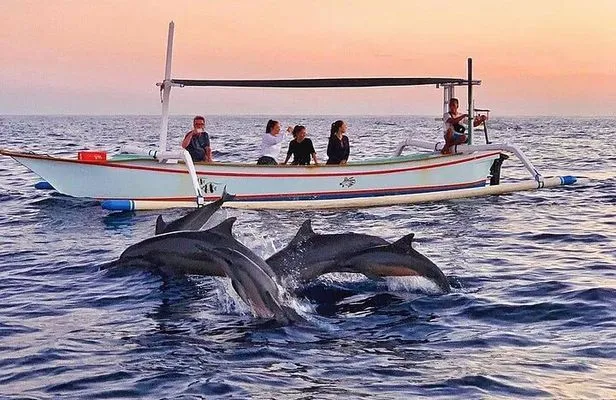 Bali Tour Dolphin Boat Trip