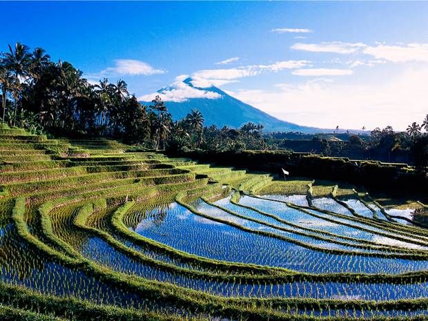 bali tour tropical journey