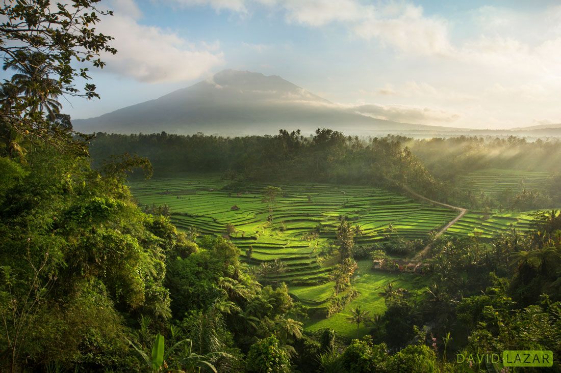 Bali Tour Nature Vibes
