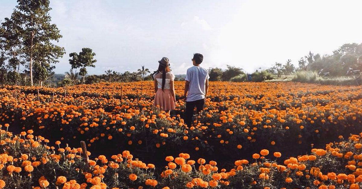 Bali Tour Love Journey