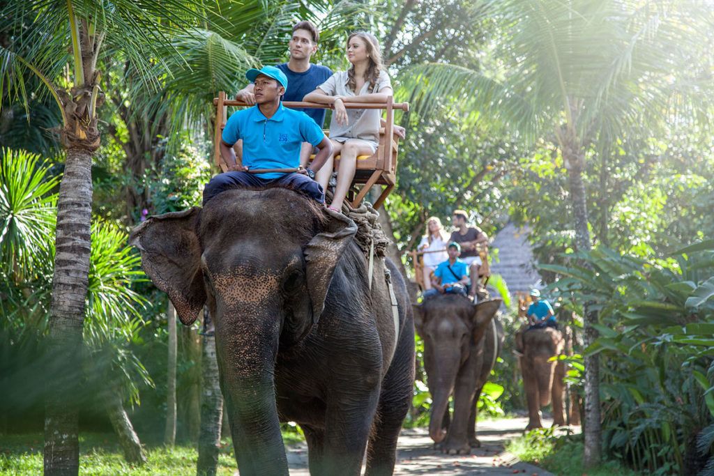bali tour jungle escape