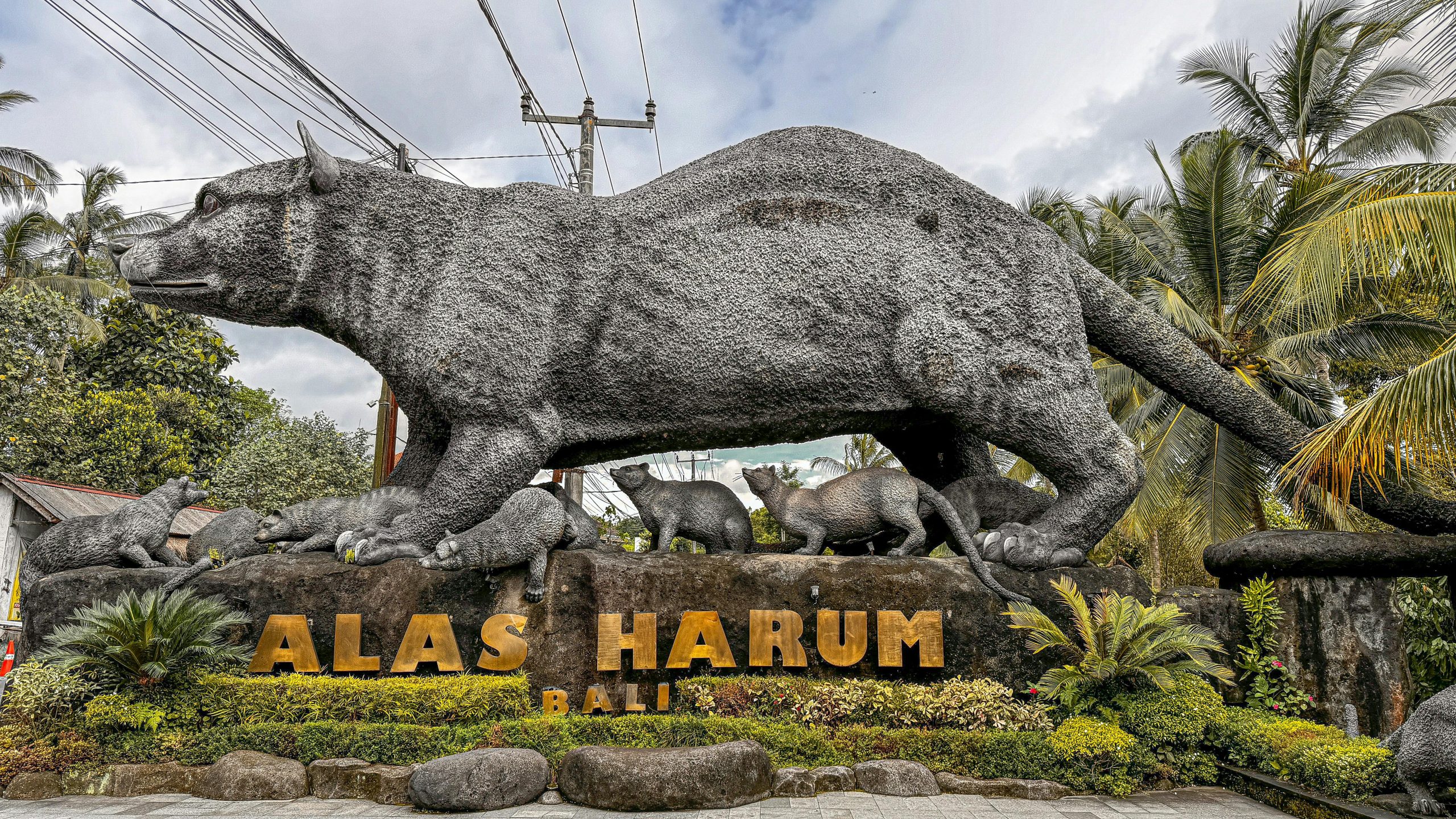 bali tour top choice