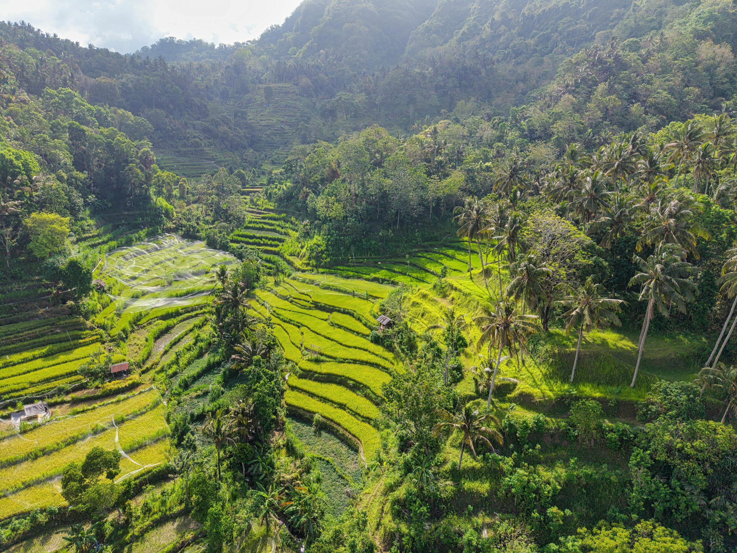bali tour travel easy