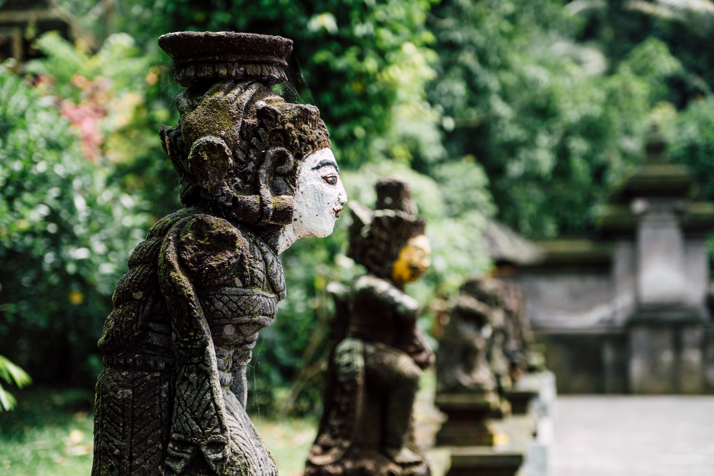 Bali Tour Natural Wonders