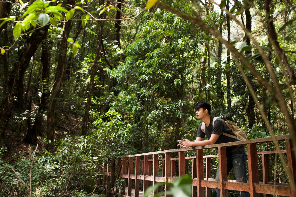 Bali Tour Jungle Escape