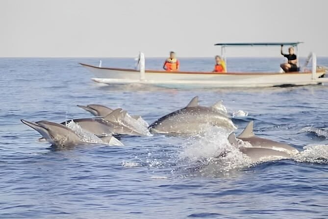 Bali Tour Lovina Dolphin Trip