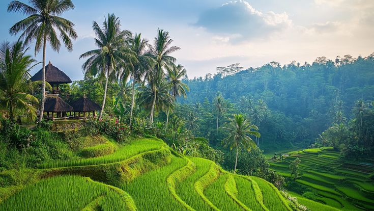 Bali Tour Lakeside Escape