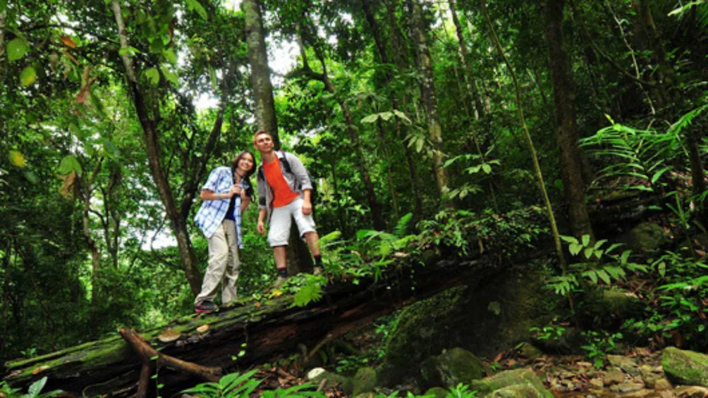Bali Tour Rainforest Experience
