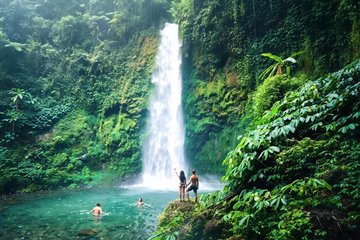 Bali Tour Forest Adventure