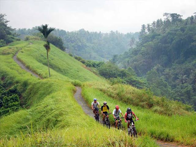 Travelers relaxing plantation during a Bali tour half day excursion