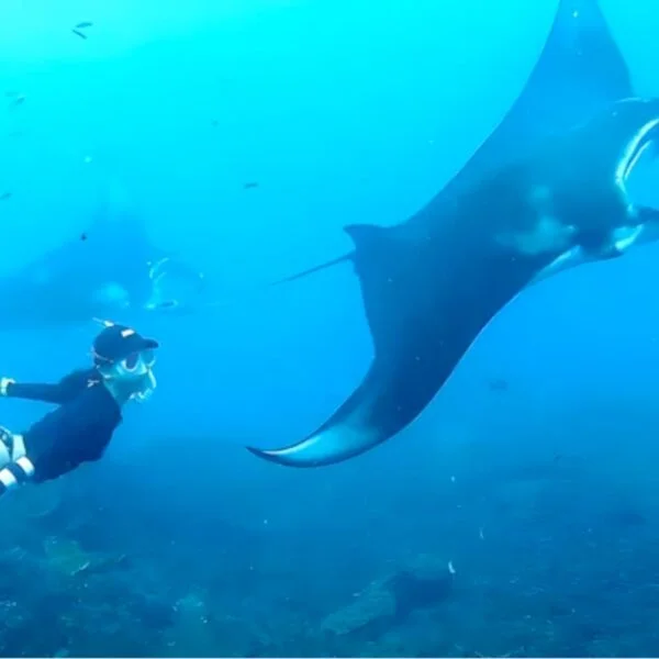 bali-tour-diving-experience