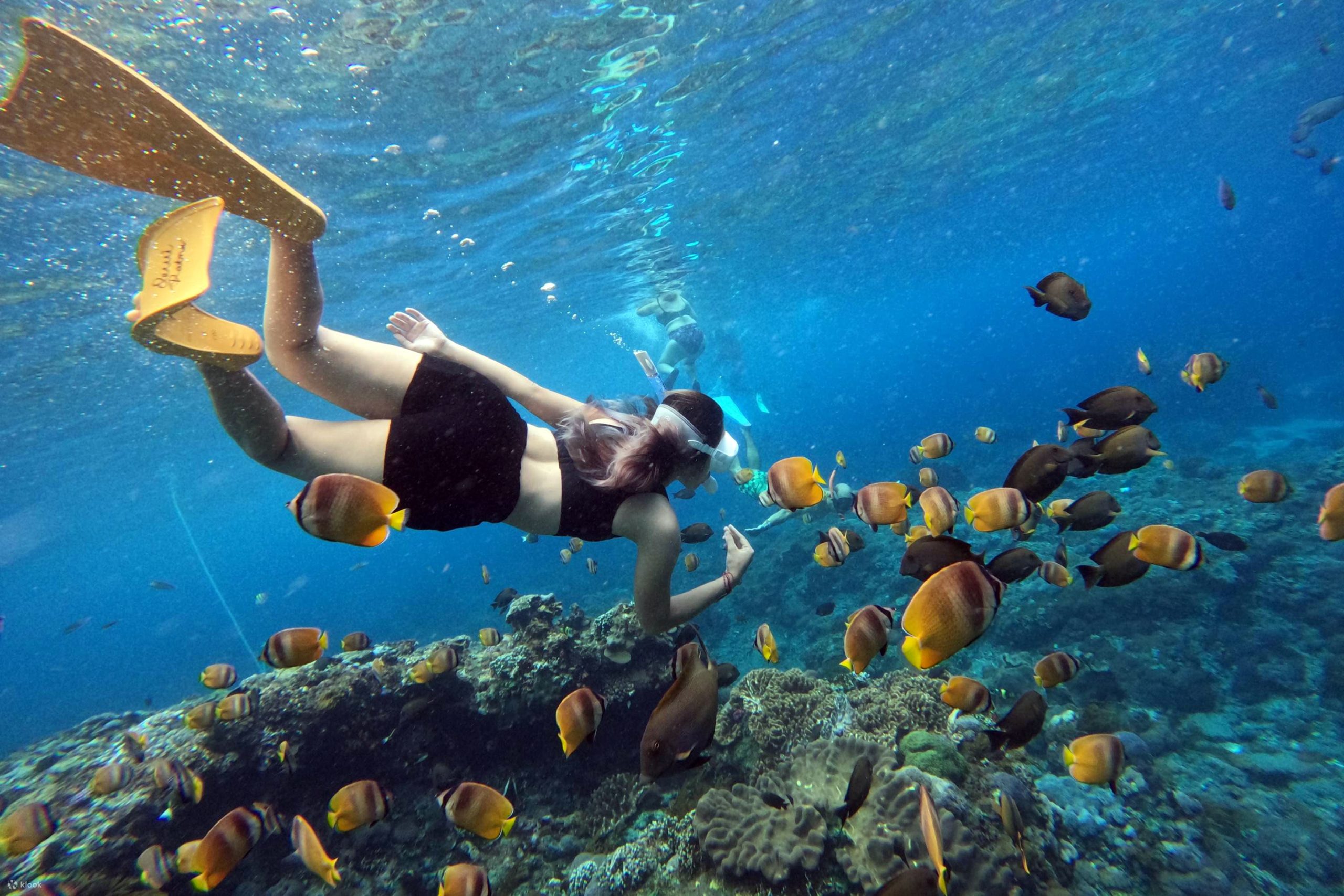Bali Snorkeling Blue Lagoon