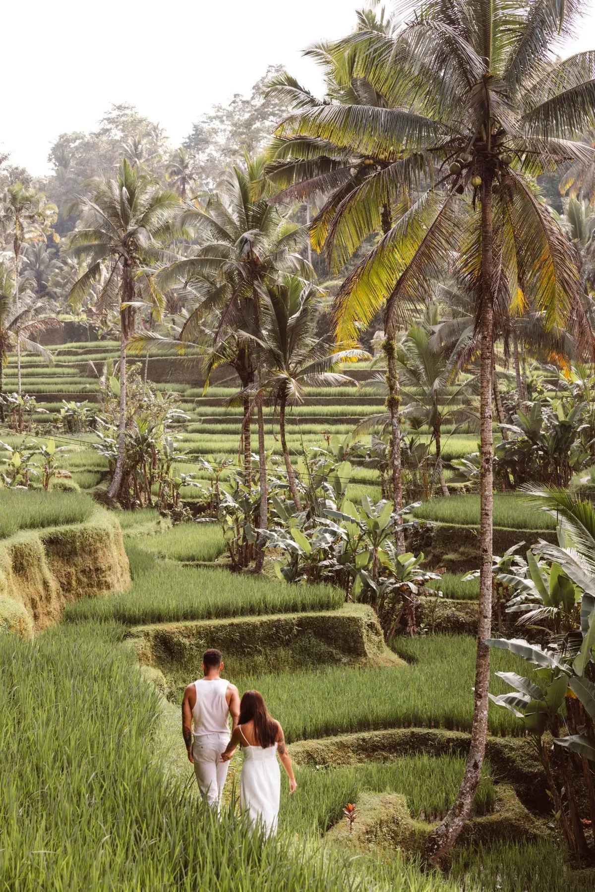 Travelers discovering lush landscapes with a Bali tour daily nature excursion